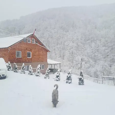 Sumska Gasic Séjour à la campagne Kopaonik