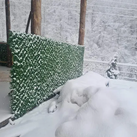 Sumska Gasic Kopaonik